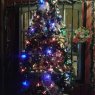 cesar's Christmas tree from Buenos Aires,  Argentina