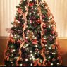 Bella's Christmas tree from New York, USA