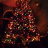 Árbol de Navidad de Ken and Mary Lambrix (Detroit, MI, USA)