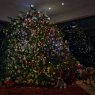 helen & clark's Christmas tree from Borchen, Deutschland