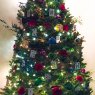Danielle Deering's Christmas tree from San Diego, CA, USA