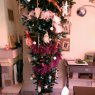 robert's Christmas tree from pont péan, france