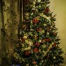 Weihnachtsbaum von Gabe and George (Rockville, MD, USA)