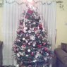 potterchristmas tree's Christmas tree from Mexico