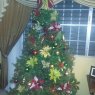 Cathia Palmer's Christmas tree from Brisas del Golf,  Panama