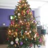 Weihnachtsbaum von Queval (Cales, France)