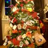 alice's Christmas tree from hertford, Hertfordshire. UK 