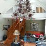 Debra Brown's Christmas tree from New Zealand