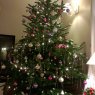 Gauduin M.'s Christmas tree from Forcalqueiret var France