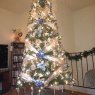 Carmen Torrejon's Christmas tree from New Jersey , Estados Unidos