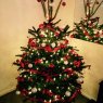 Árbol de Navidad de Nathan skinner (gateshead, United kingdom)