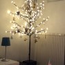 Monoyer's Christmas tree from Binche, Belgique 