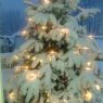 Árbol de Navidad de Sonja Humpert (Neunkirchen, Germany)