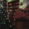 Muriel Sturtz's Christmas tree from Argentina