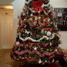 Meghan McElroy's Christmas tree from Scottsdale, AZ, USA