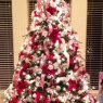 Patty's Christmas tree from Kansas