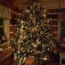 Sapin de Noël de Susan Pope (Connelly Springs, NC, USA)