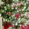 Vicente Salazar's Christmas tree from El Valle de San Fernando,  CA, USA