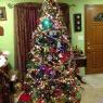 Weihnachtsbaum von Boothroyds Christmas tree (Mill valley ca)