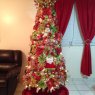 Mildred 's Christmas tree from Puerto Rico