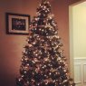 Mandy's Christmas tree from Rock hill, sc
