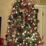 Árbol de Navidad de Terra Nicole Davis (Texas, USA)