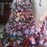 maria del carmen perez castro's Christmas tree from veracruz, mexico