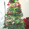 Samuel Rios's Christmas tree from Guatemala, Guatemala