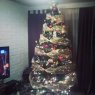 eugenia concha's Christmas tree from santiago, chile