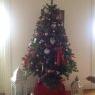 Weihnachtsbaum von Debbie arbol (France)