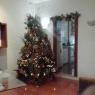 mayte ruiz's Christmas tree from guayaquil, Ecuador