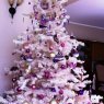 Gabriela Silva B.'s Christmas tree from Chillan, Chile