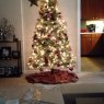 Mr and Mrs Steadman's Christmas tree from Northern America