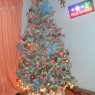 Fresia Moya Parraguez's Christmas tree from Santiago, Chile