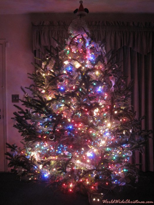 Harvey Family Christmas Tree (Lake Worth, FL, USA)