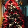 Elva Camacho's Christmas tree from Katy, TX, USA