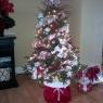 Marianne B's Christmas tree from Pembroke, MA, USA