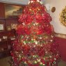 Pablo Agreda's Christmas tree from Zulia, Venezuela
