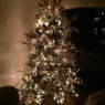Andrew Coleman's Christmas tree from Tarzana, CA, USA
