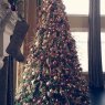 Virginia n Cindy Campanella's Christmas tree from staten island ny, USA