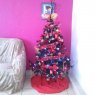 luis fernando suarez alcantar's Christmas tree from morelia michoacan mexico