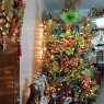 Harly Rea's Christmas tree from El Trigal, Cabudare Estado Lara, Venezuela