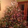 Cristi Y's Christmas tree from Burton, Ohio, USA