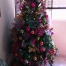 Eddy Suarez 's Christmas tree from Merida, Venezuela