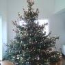 Silvio's Christmas tree from Leesten,Deutschland