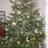 Árbol de Navidad de marchand olivier (France)