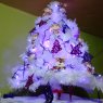 MARY's Christmas tree from mexico, d.f.