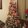 Flia Guardia Gomez's Christmas tree from Panama