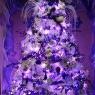 Trish Glazier's Christmas tree from Vernon BC CANADA