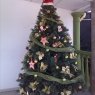 Familia Garcia Montilla's Christmas tree from Valencia, Venezuela